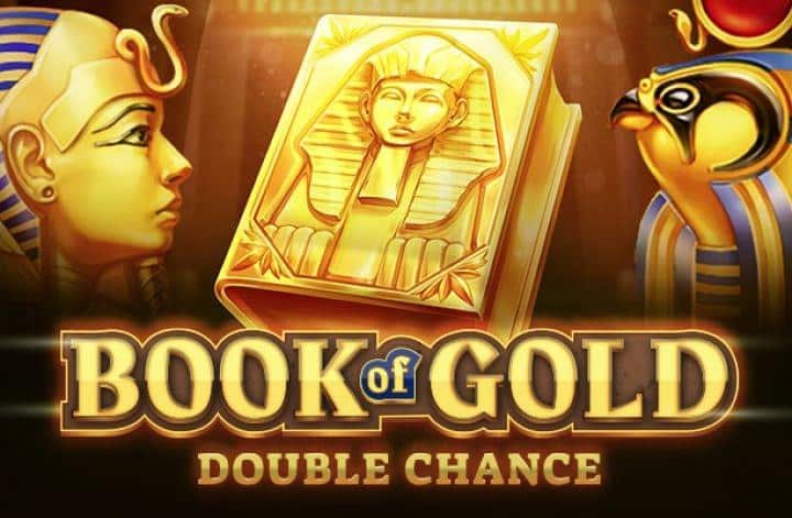 Book of Gold - Double Chance Slot